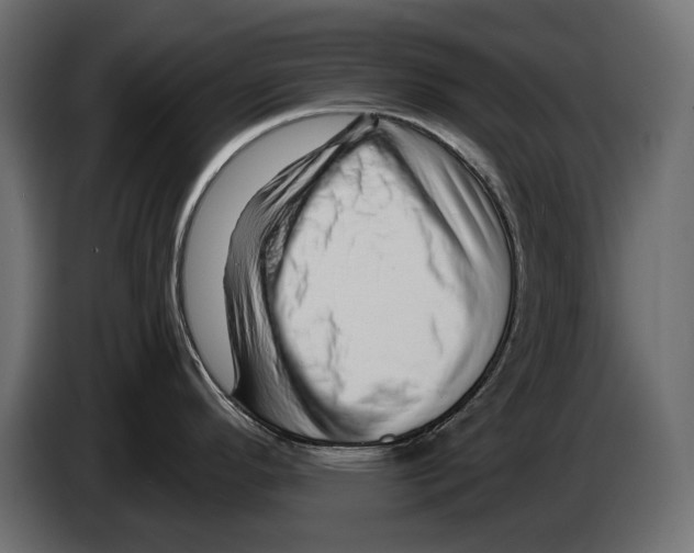 X0000082961296200703020204