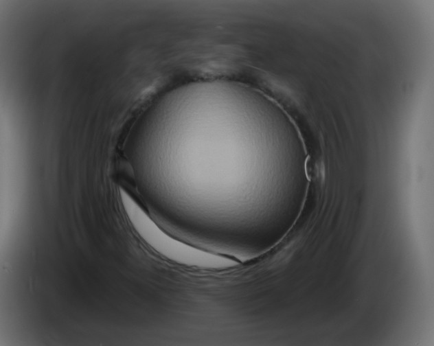 X0000082961300200703020203