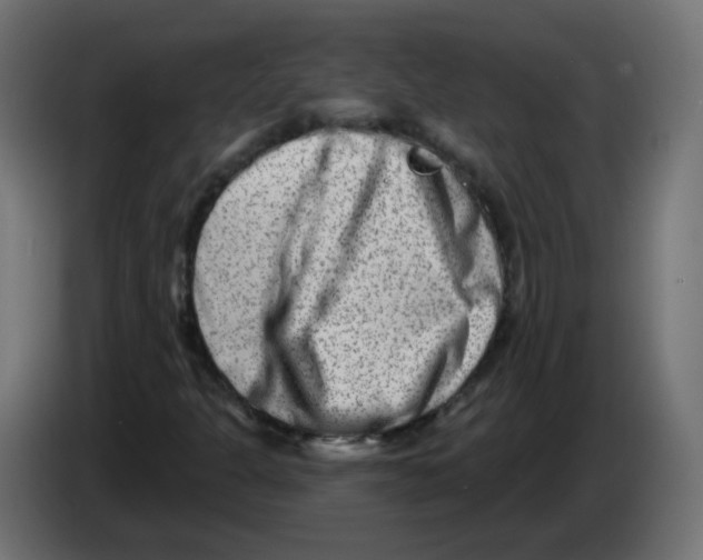 X0000082961301200703020203