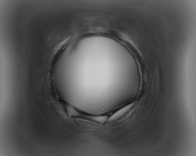 X0000082961304200703020203