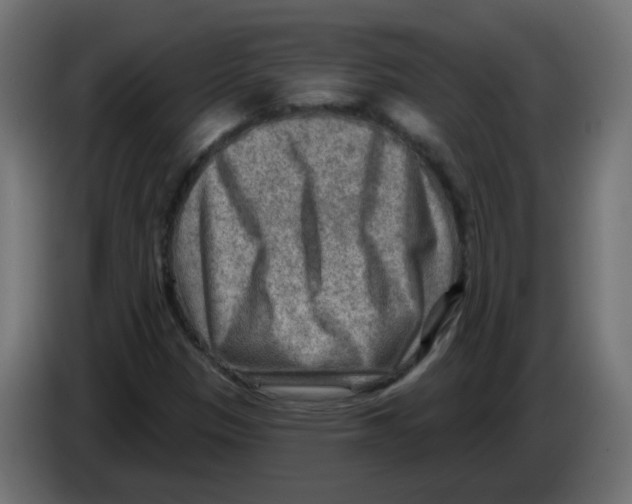 X0000082961305200703020203