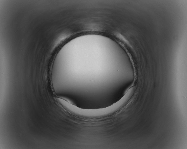 X0000082961307200703020203