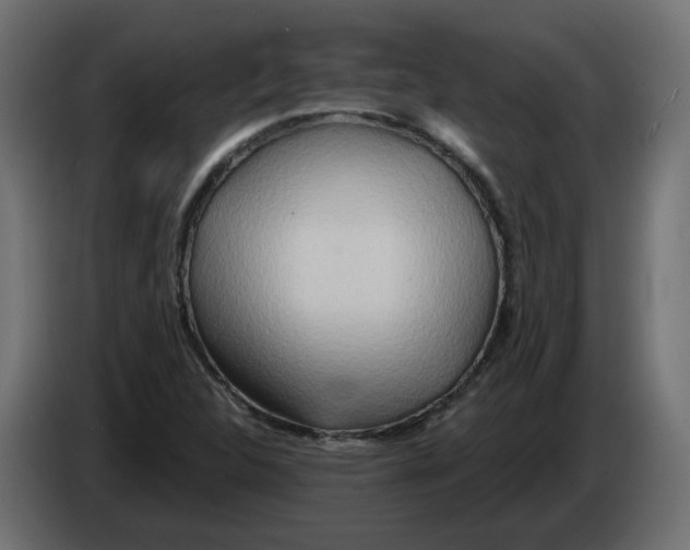 X0000082961312200703020203