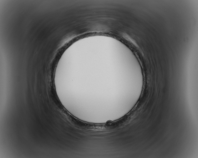 X0000082961315200703020204