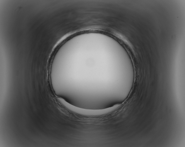 X0000082961316200703020204