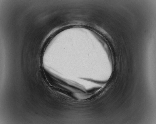 X0000082961318200703020204