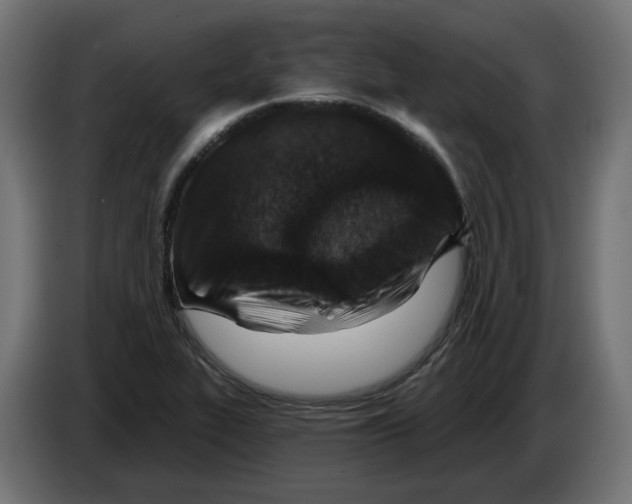 X0000082961319200703020204