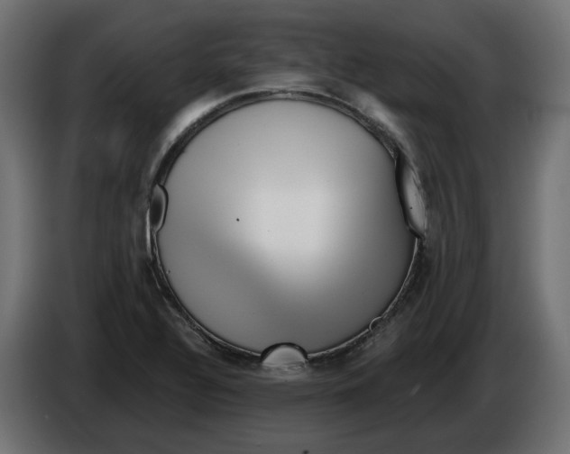 X0000082961320200703020204