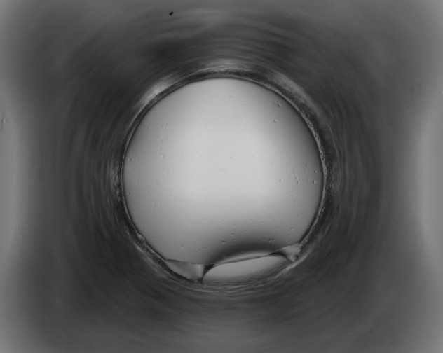 X0000082961321200703020204