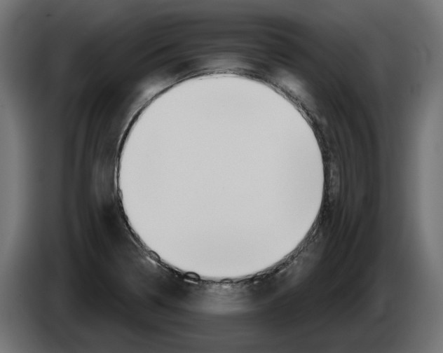 X0000082961322200703020204