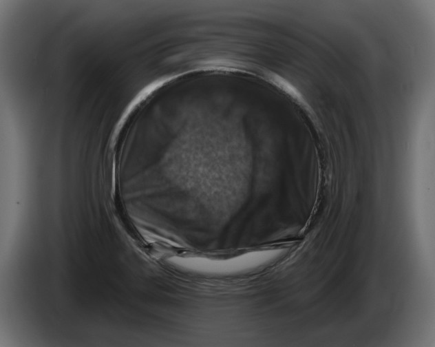 X0000082961323200703020204