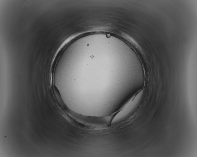 X0000082961324200703020204