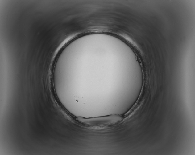 X0000082961325200703020204