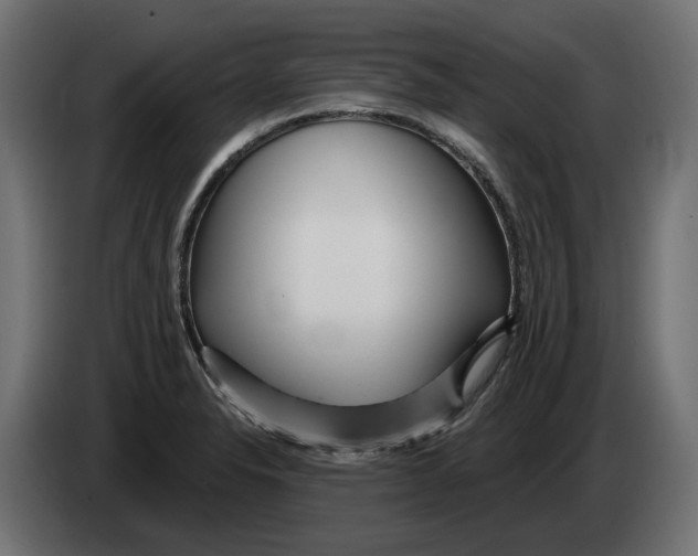 X0000082961326200703020204