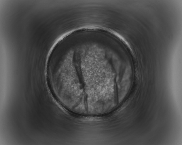 X0000082961327200703020204