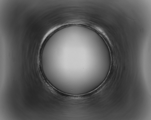 X0000082961328200703020204