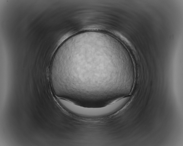 X0000082961329200703020204