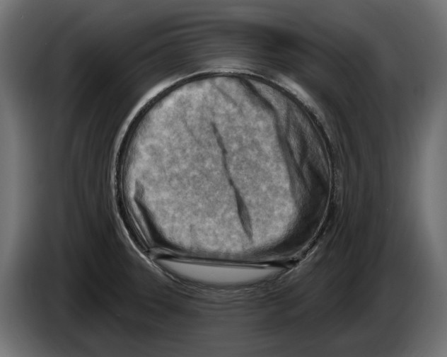 X0000082961331200703020204