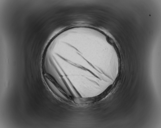 X0000082961333200703020204