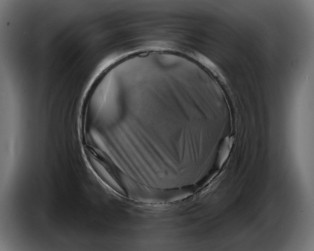 X0000082961334200703020204