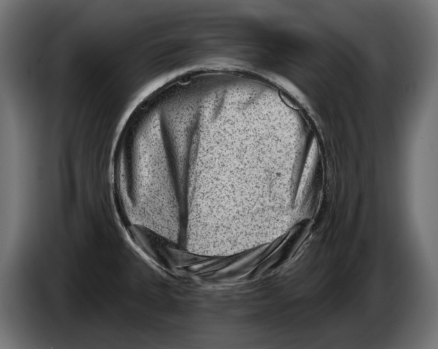 X0000082961335200703020204