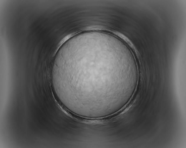 X0000082961337200703020204