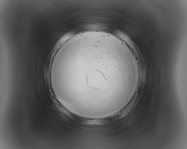 X0000082961338200703020204