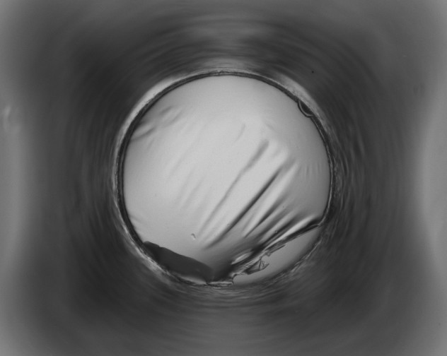 X0000082961339200703020204