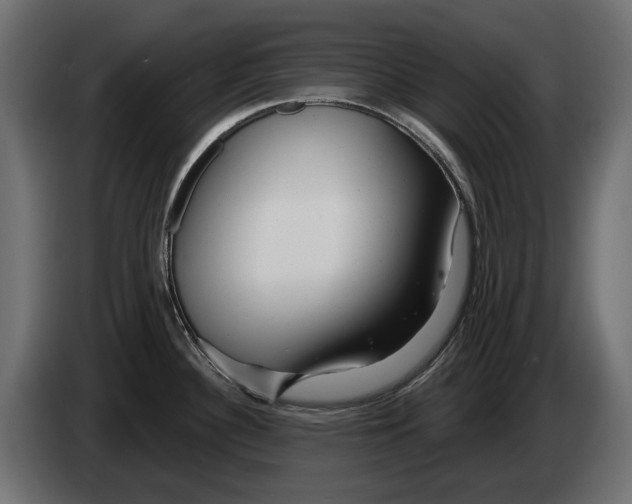 X0000082961340200703020204