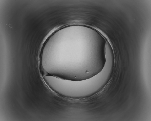 X0000082961341200703020204