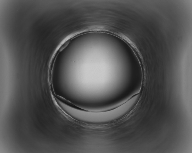 X0000082961342200703020204