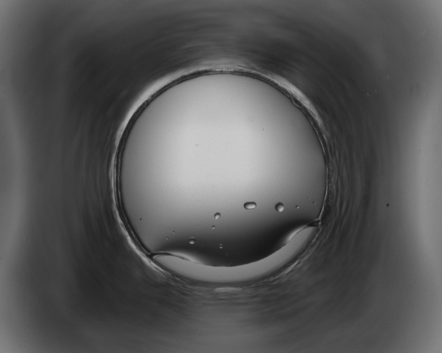 X0000082961343200703020204