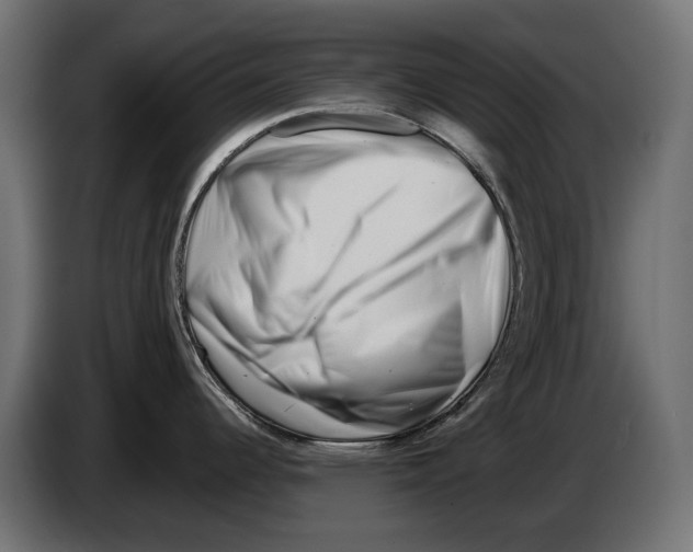 X0000082961344200703020204