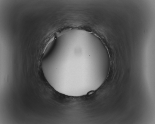 X0000082961349200703020203