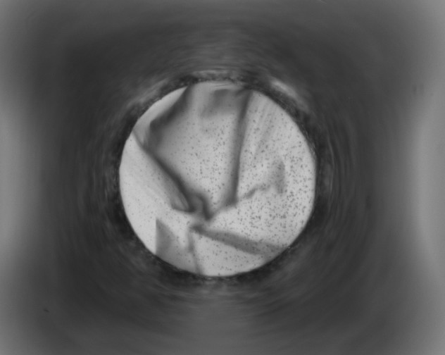 X0000082961350200703020203