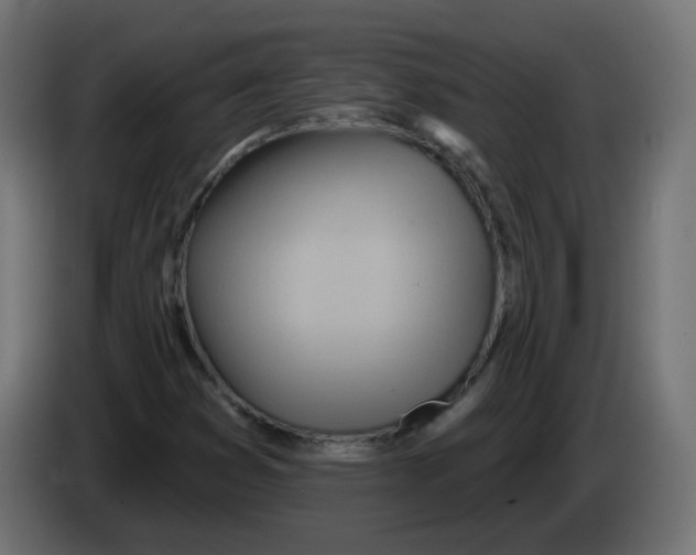 X0000082961353200703020203