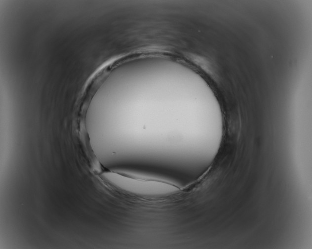 X0000082961356200703020203