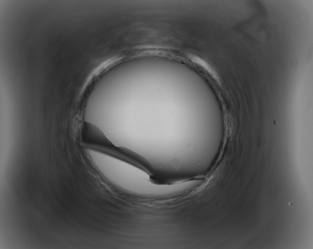 X0000082961357200703020203