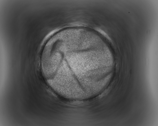 X0000082961358200703020203