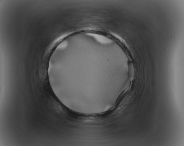 X0000082961359200703020203