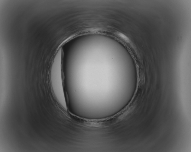 X0000082961361200703020203