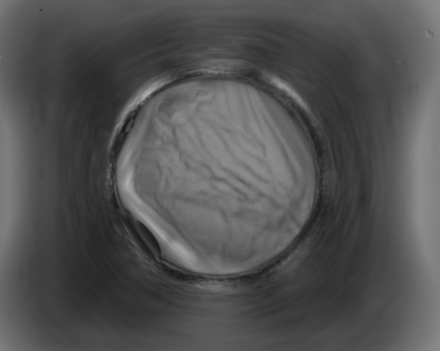 X0000082961362200703020203