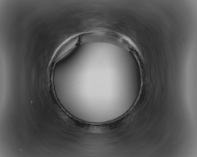 X0000082961364200703020203