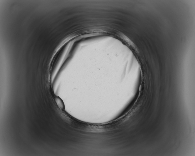 X0000082961370200703020203