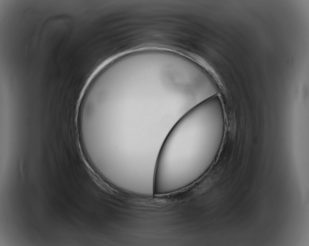 X0000082961372200703020203