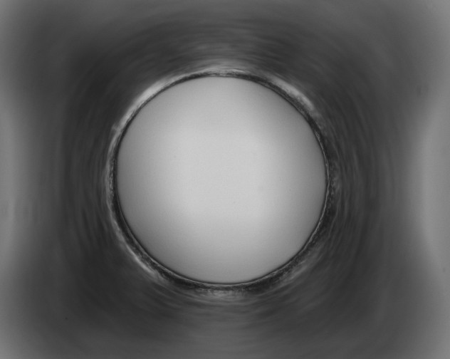 X0000082961375200703020203