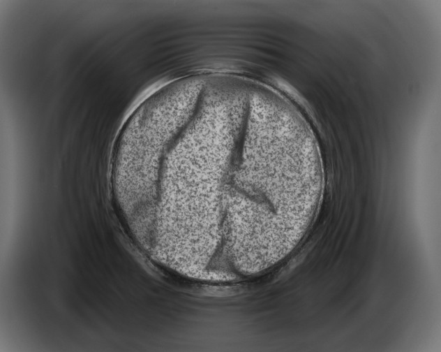 X0000082961378200703020203