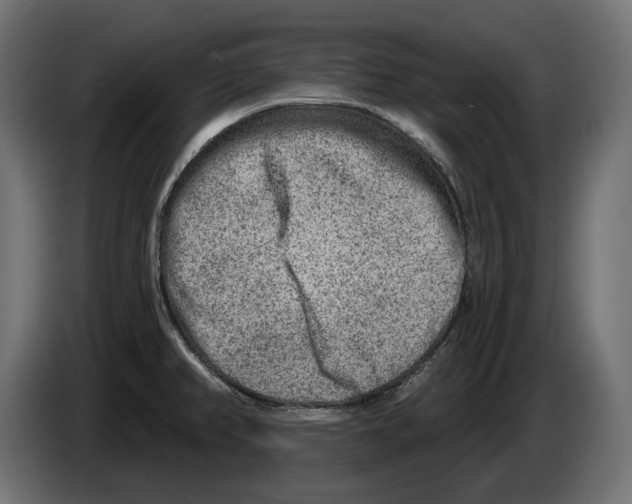 X0000082961382200703020203