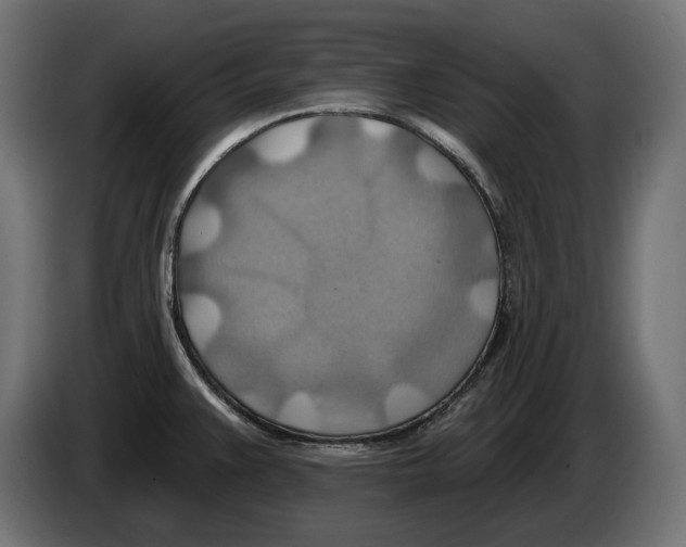 X0000082961383200703020203