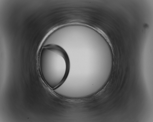 X0000082961384200703020203